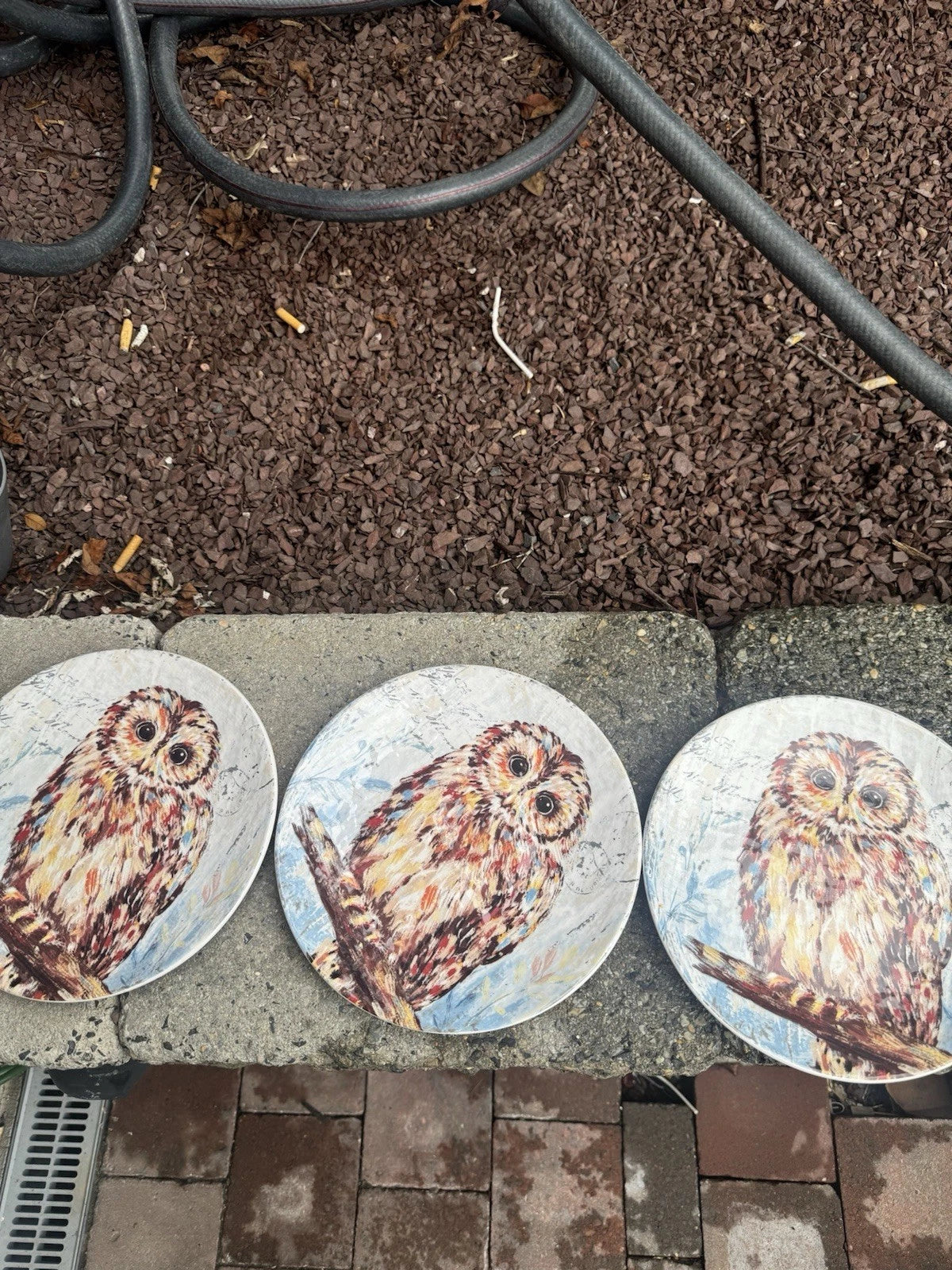 Vintage Porcelain Owl Plate Set